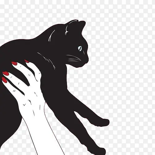 红指甲的手抱着黑猫