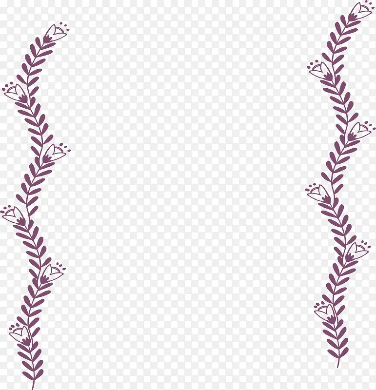 紫色花藤边框
