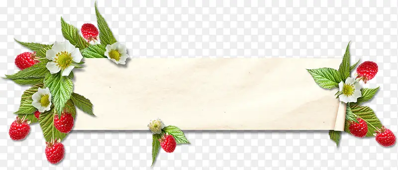 手绘野草莓