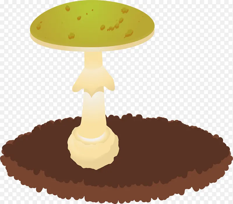 土壤蘑菇