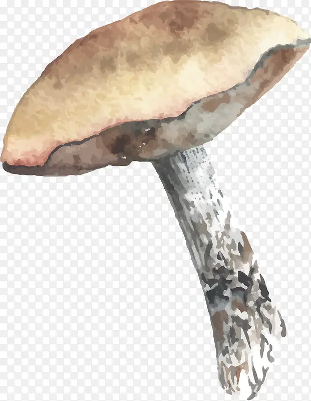 手绘蘑菇