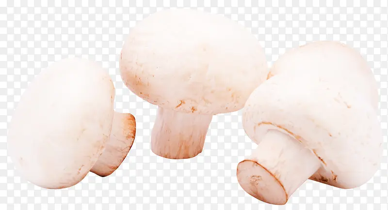新鲜的蘑菇免抠素材