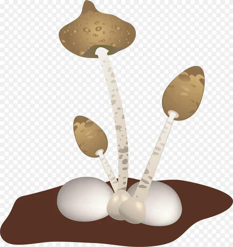 土壤蘑菇