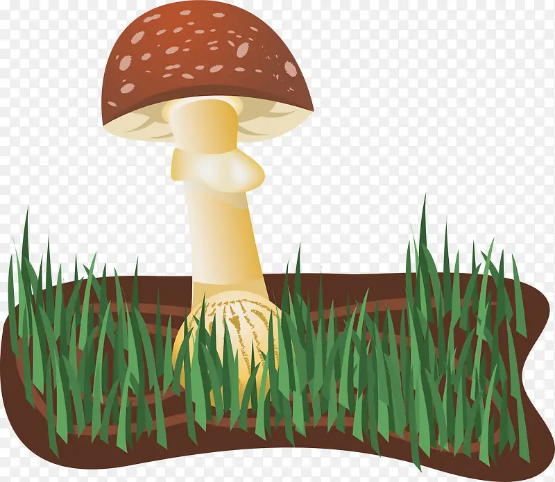 青草蘑菇