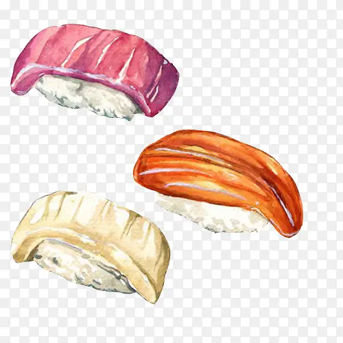 生鱼片寿司手绘画素材图片