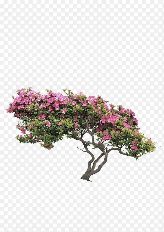 花朵树木景观装饰图案
