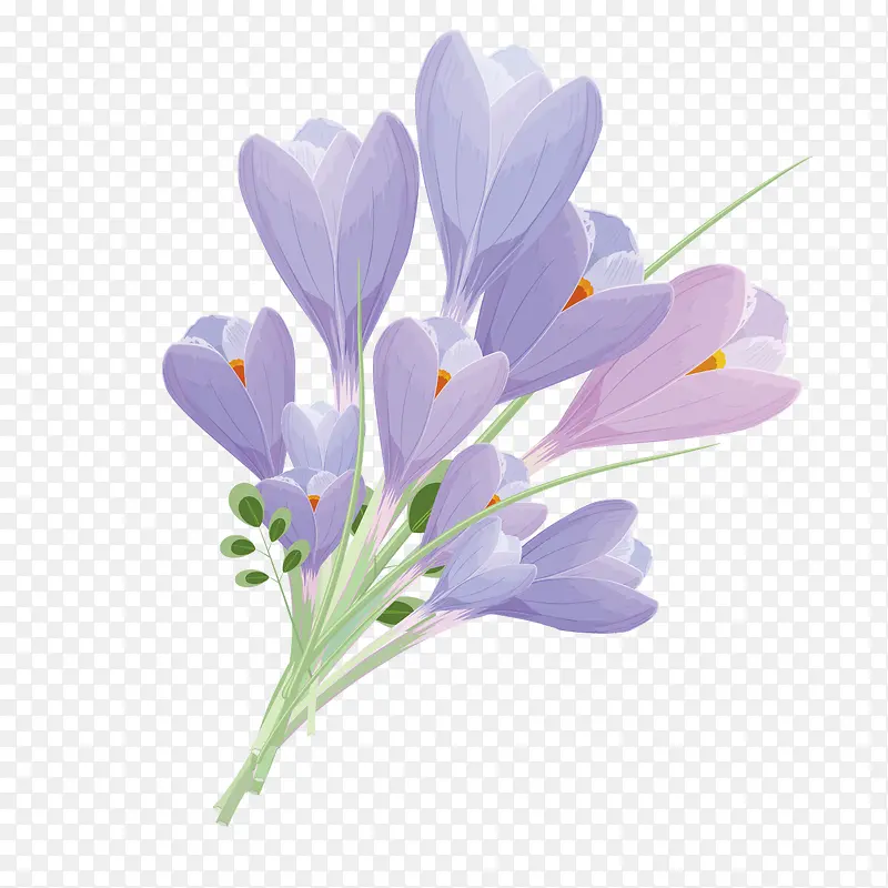 矢量一束紫色花朵紫草
