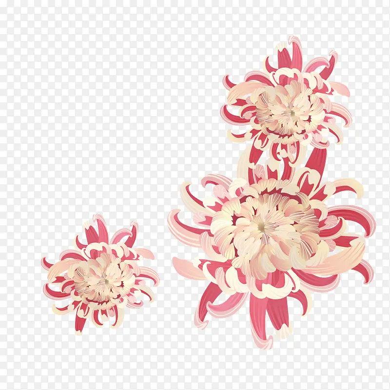 矢量手绘菊花下载
