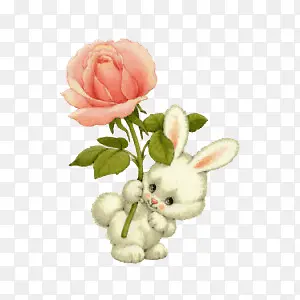 玫瑰花兔子拿着玫瑰花装饰
