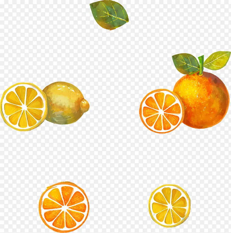 制作蜂蜜柠檬柚子茶的水果