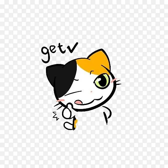 一只可爱的猫