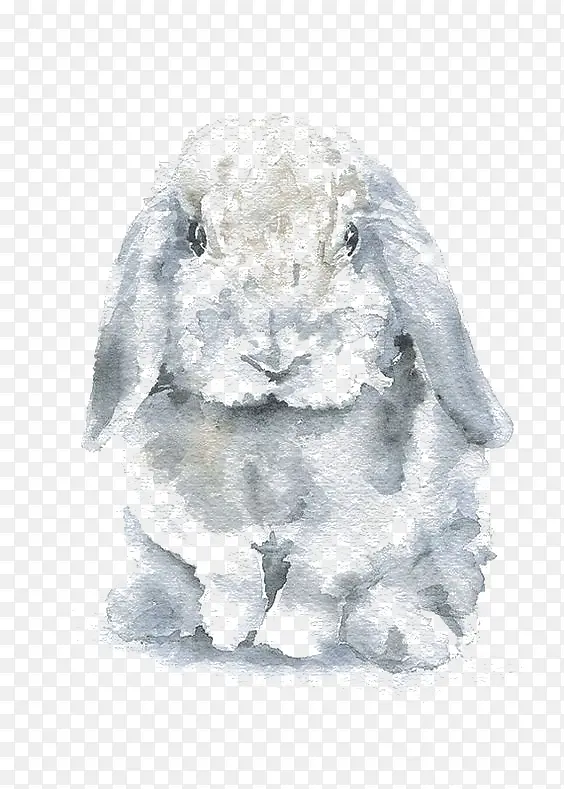 水彩兔子