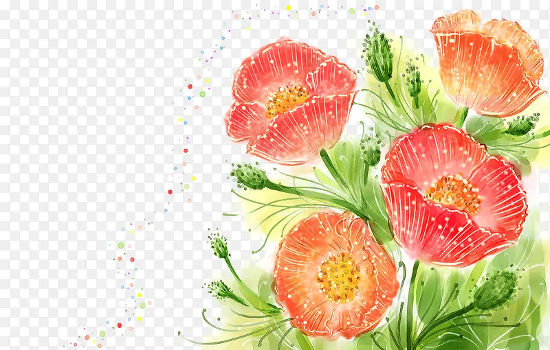 韩式小清新手绘花卉