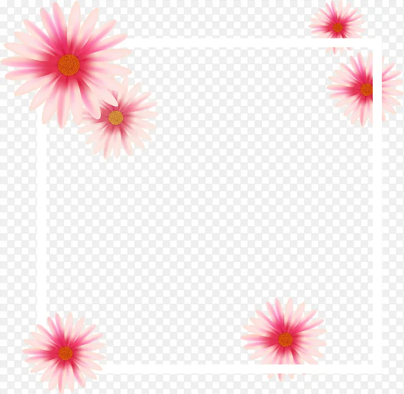 粉色雏菊装饰框