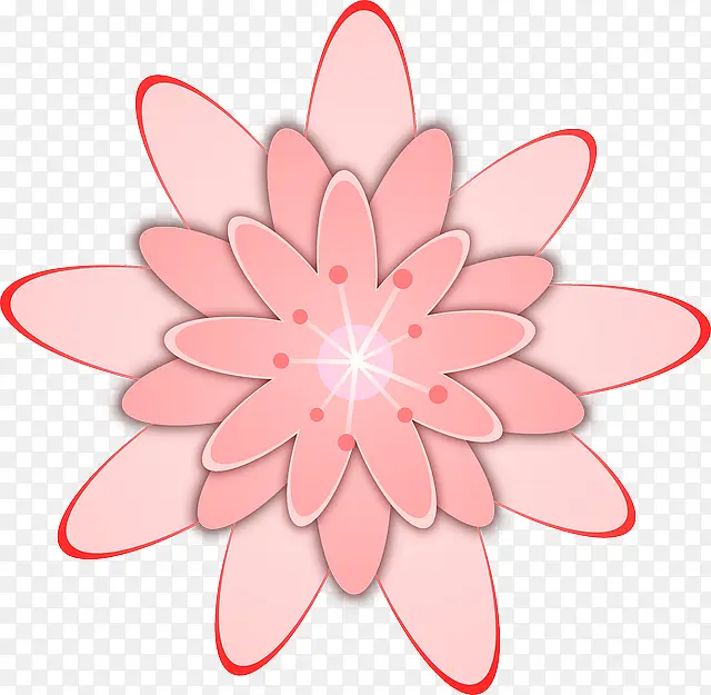 彩绘粉色雏菊