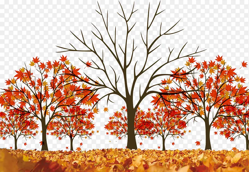二十四节气秋分树木风景