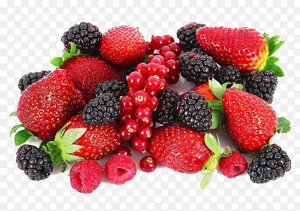 草莓树莓和桑葚