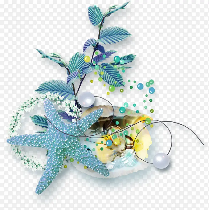 实物海星海洋生物海报设计