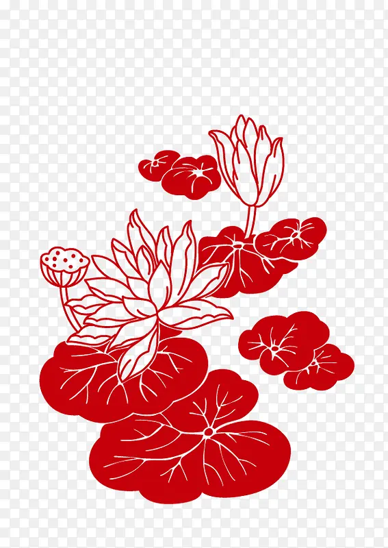 荷花