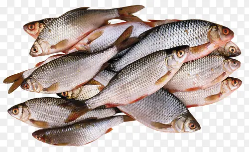 食材福寿鱼