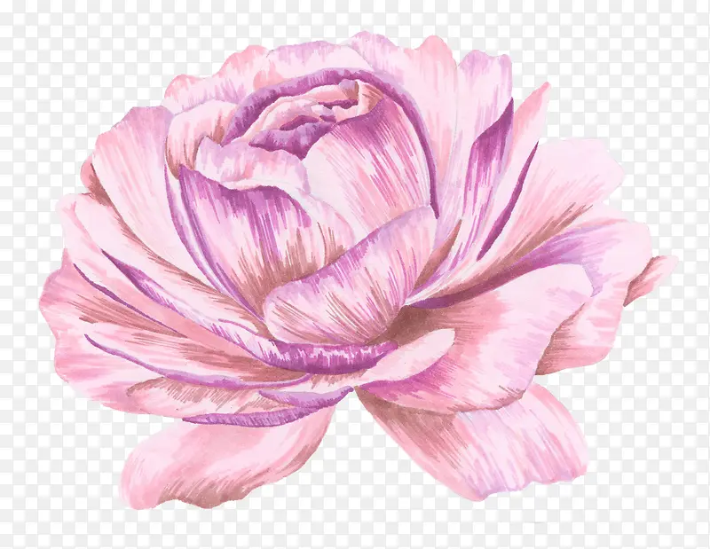 手绘水彩绘画立体粉嫩花卉