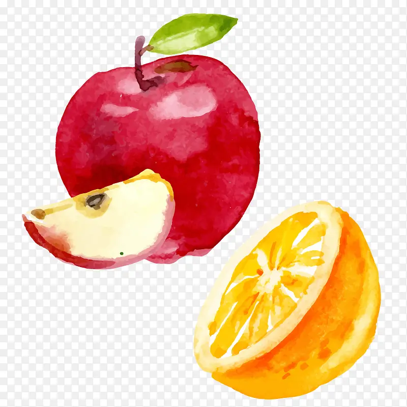水彩矢量苹果和橙子组合