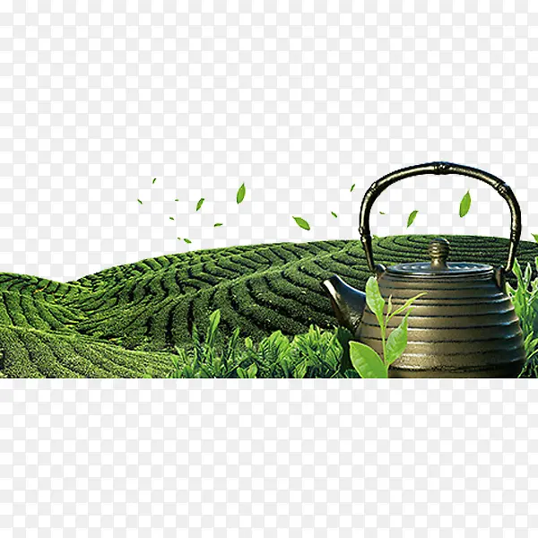 绿色茶园