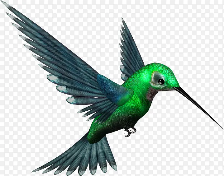 绿色蜂鸟装饰图案