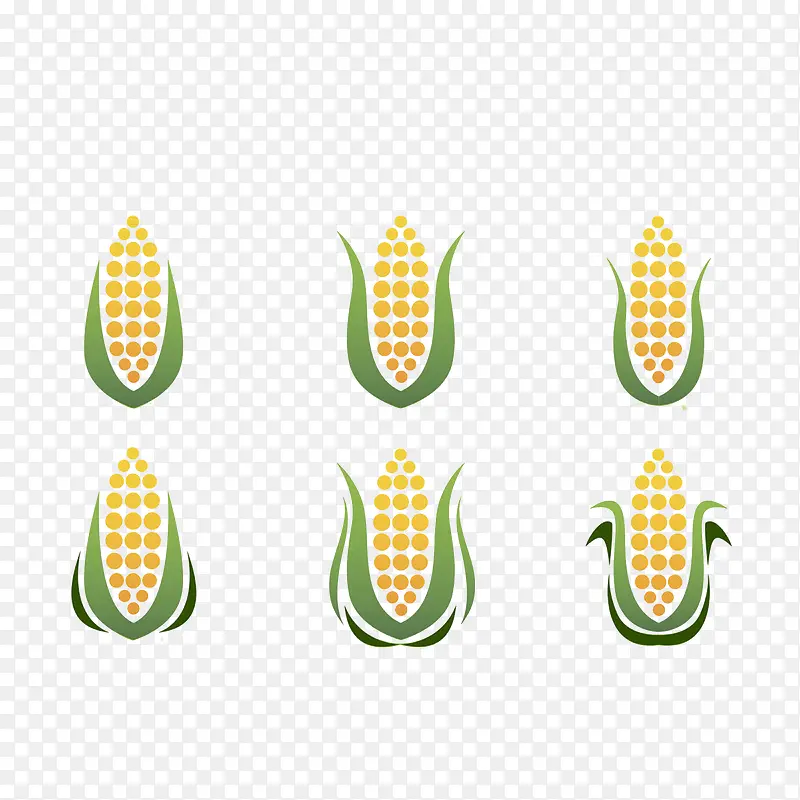 玉米成熟过程简约风格