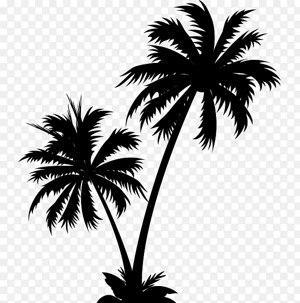 黑色的椰子树