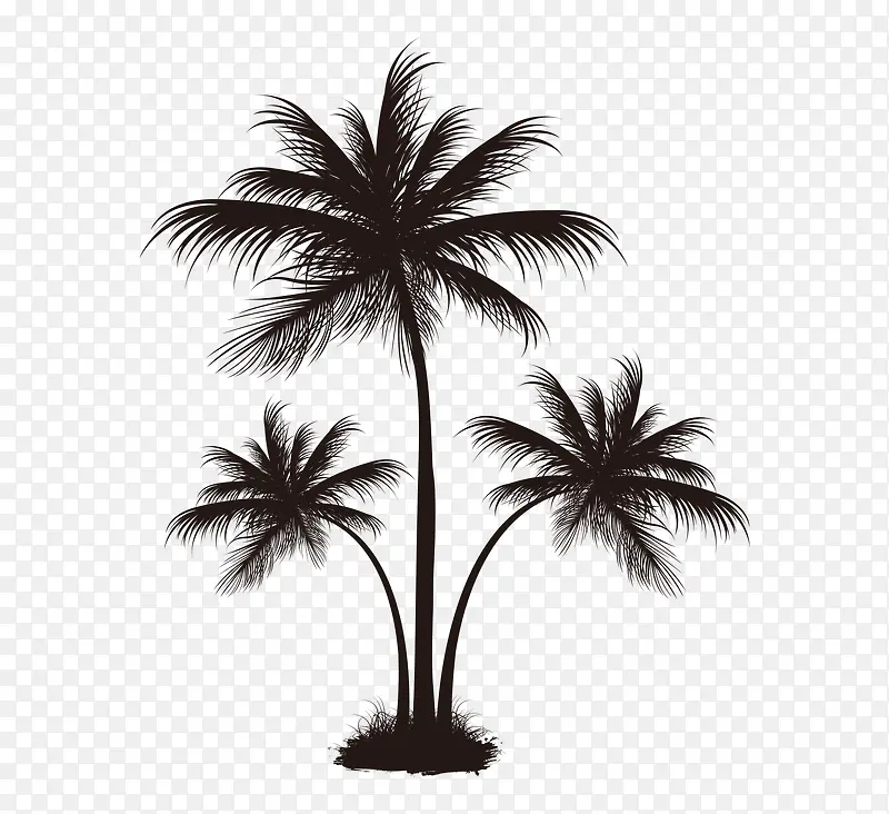 黑色椰子树图案