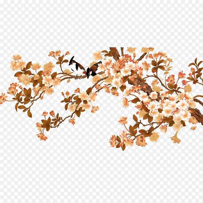 花枝