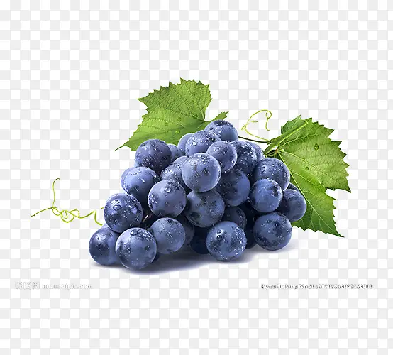 蓝色葡萄