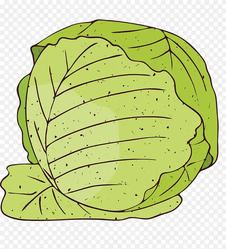 绿色手绘包菜