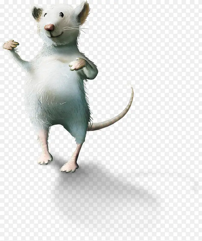 立体的白老鼠