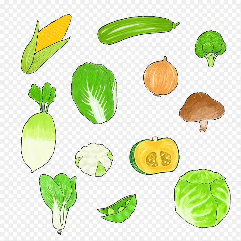 手绘绿色蔬菜合集
