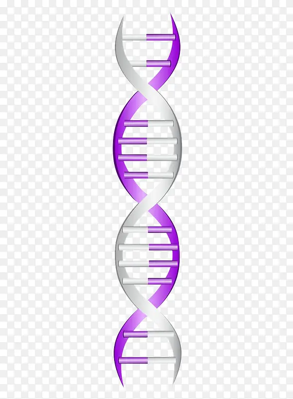 基因检测DNA