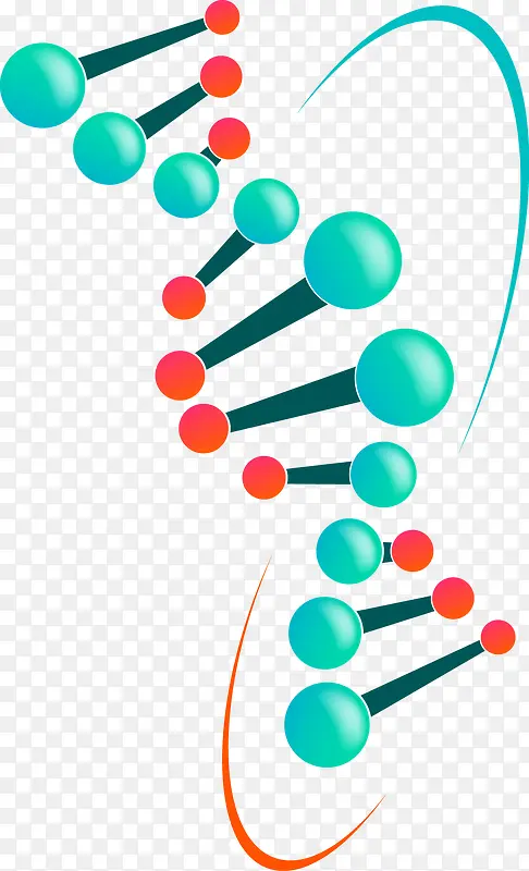 DNA装饰