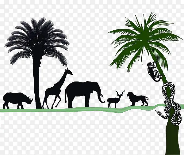 椰子树下活动的动物