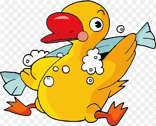 洗澡中的鸭子