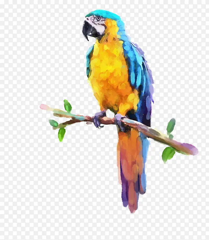 彩色啄木鸟站在树枝上