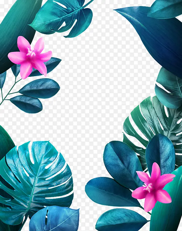 热带树叶免抠PNG