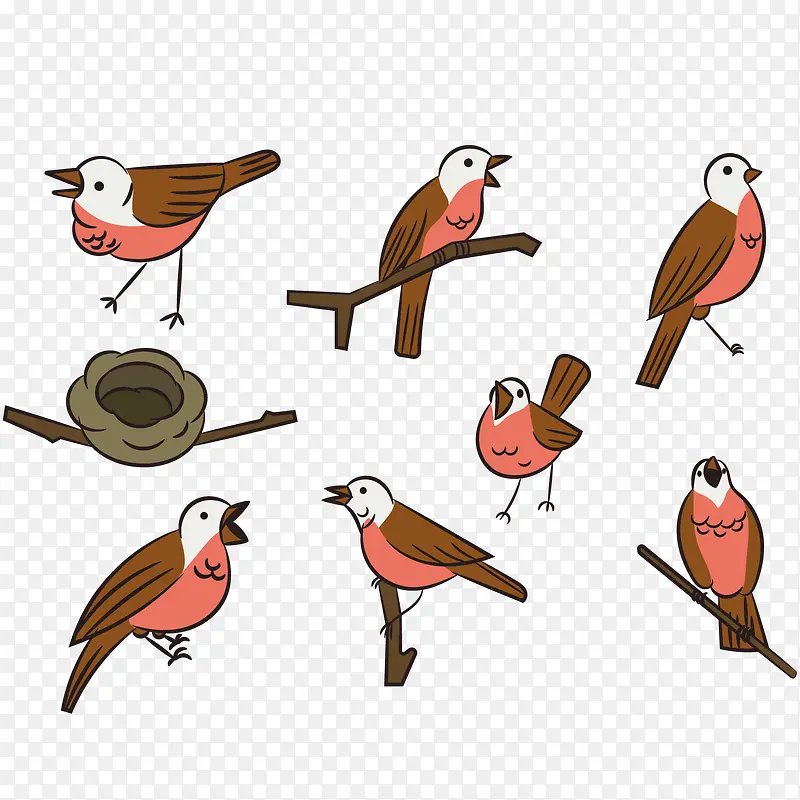 矢量图八种姿势的鸟