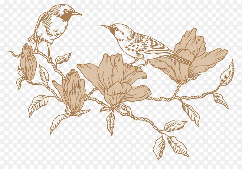 复古线描鸟类 植物