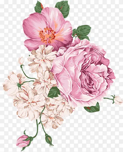 紫粉色的花