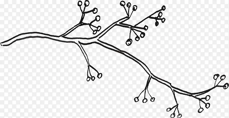 线描树枝