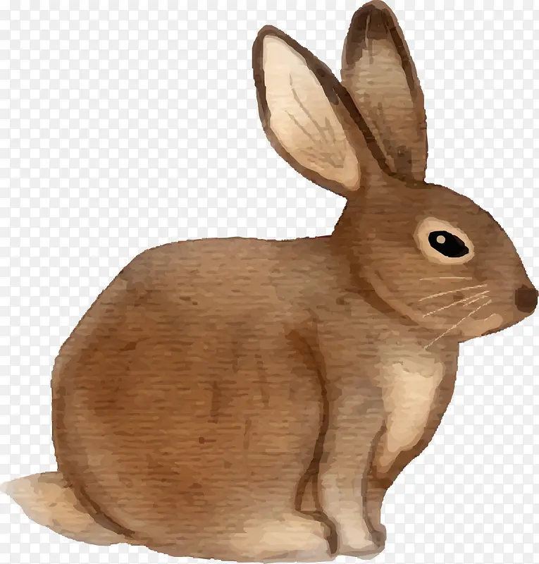 棕色呆萌水彩兔子