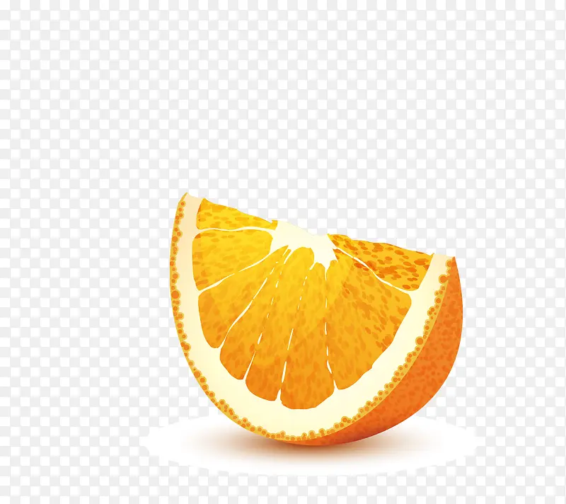 橙子切半矢量图