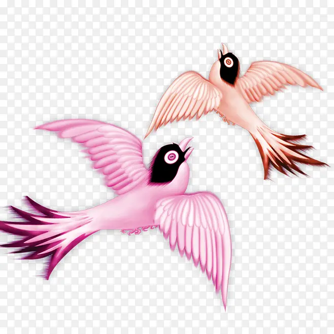 粉色燕子