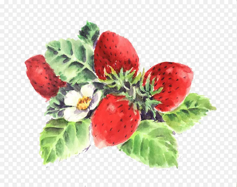 彩绘红艳艳的草莓